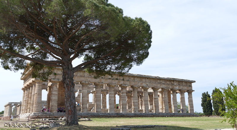 Paestum Ruins